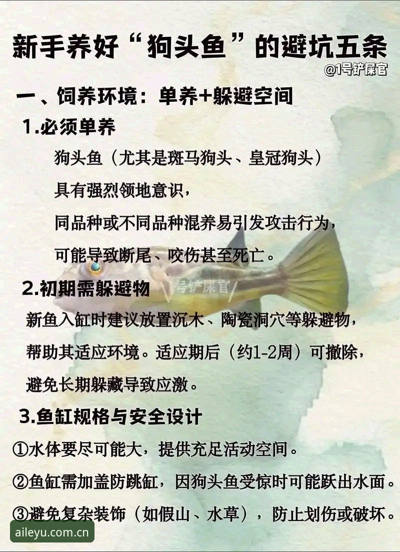 乐鱼CN正式上线必备 老用户手把手分享:乐鱼CN正式上线必备的避坑心得